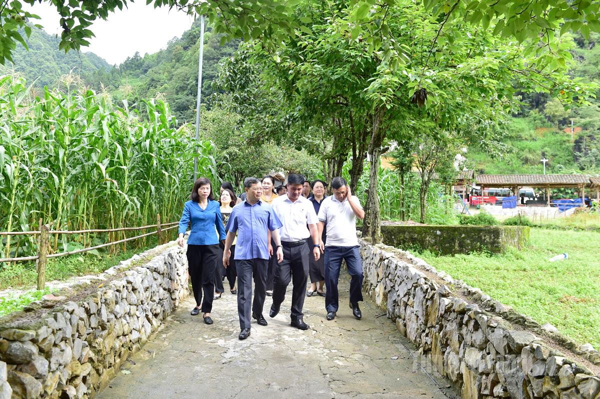 Tuyên Quang: Xây dựng Làng văn hóa du lịch Lũng Cẩm thành điểm đến hấp dẫn 