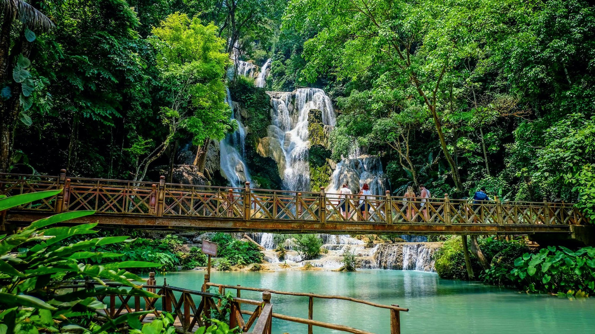 Chạm vào Tat Kuang Si, ''viên ngọc xanh'' của Luang Prabang (Lào)
