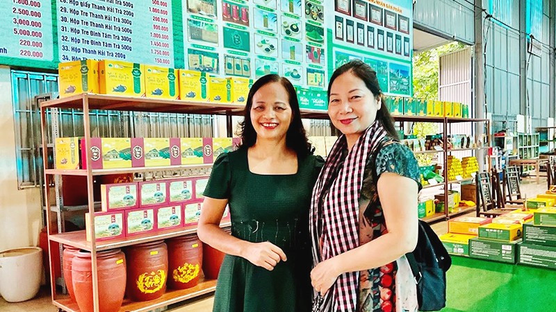 Đi tìm nguồn gốc danh trà ở Thái Nguyên