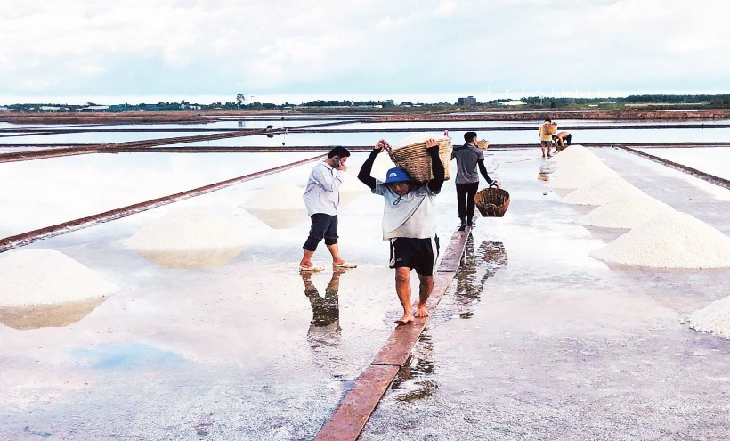 Mặn mòi nghề muối - đời người