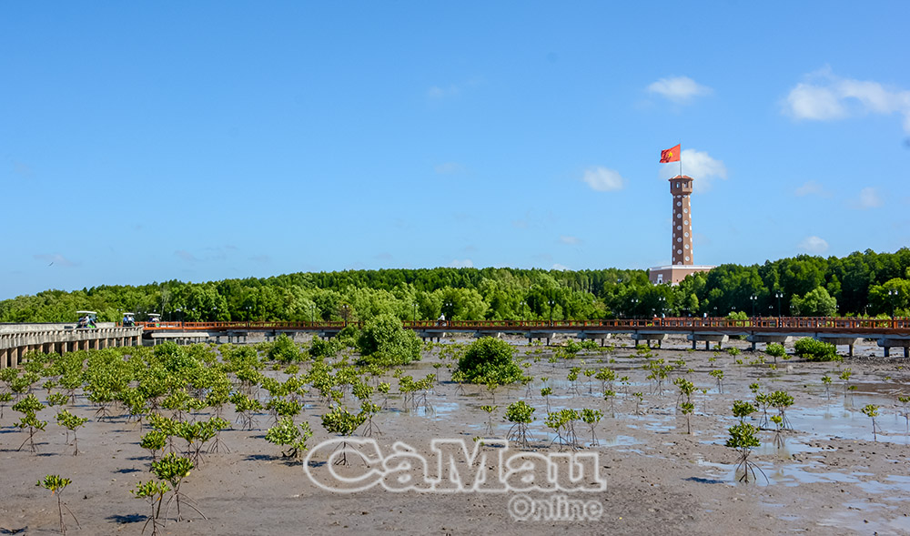 Cà Mau: Hội tụ lợi thế đưa du lịch “cất cánh”
