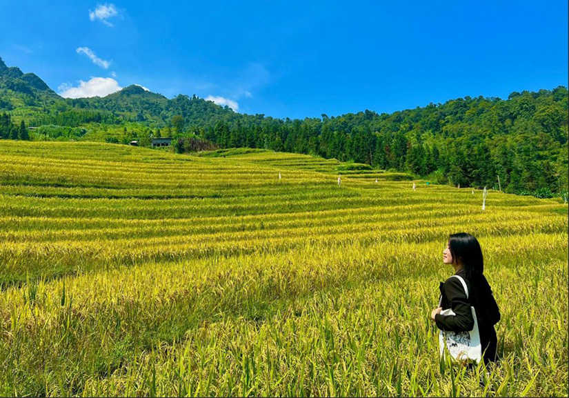 Du Già “nốt nhạc bổng” trên Cao nguyên đá