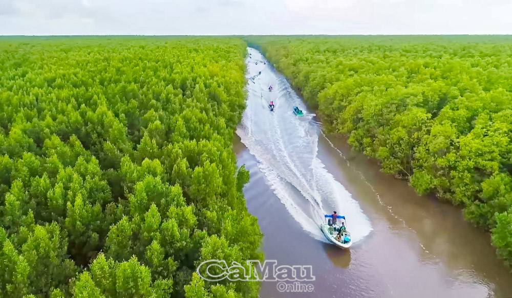 Bản đồ du lịch Cà Mau sau hợp nhất