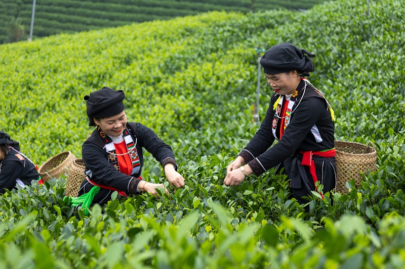 Du lịch Thái Nguyên trước cơ hội nâng tầm