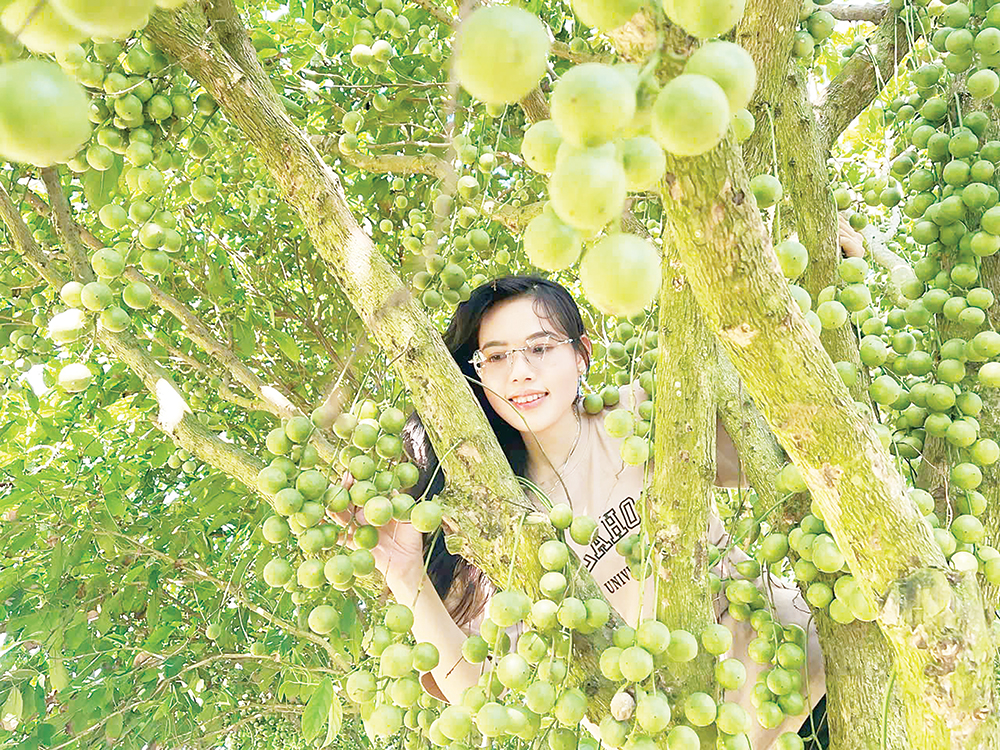 Khi nông dân làm du lịch