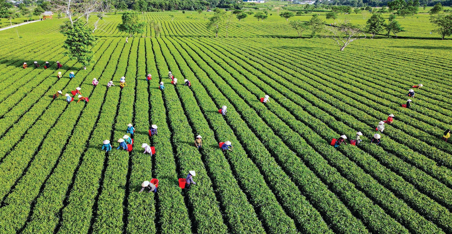 Hòn đảo xanh trên miền sơn cước Hà Tĩnh