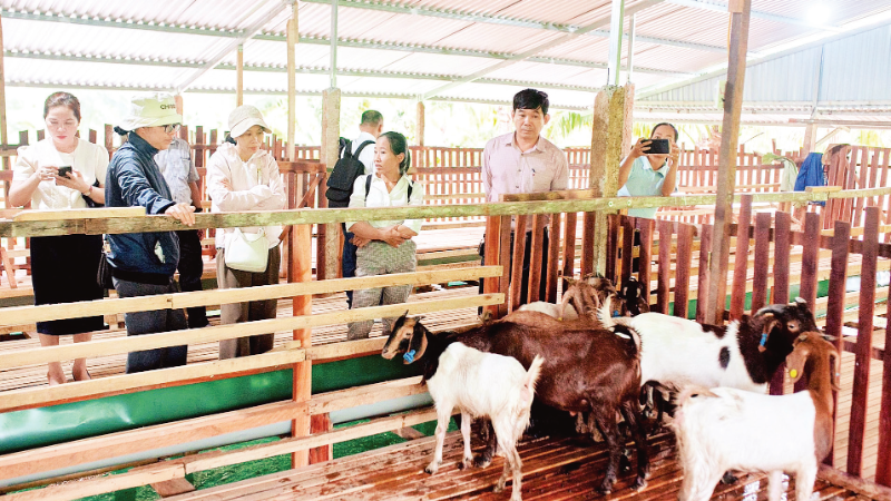 Chăn nuôi thích ứng biến đổi khí hậu gắn với du lịch sinh thái