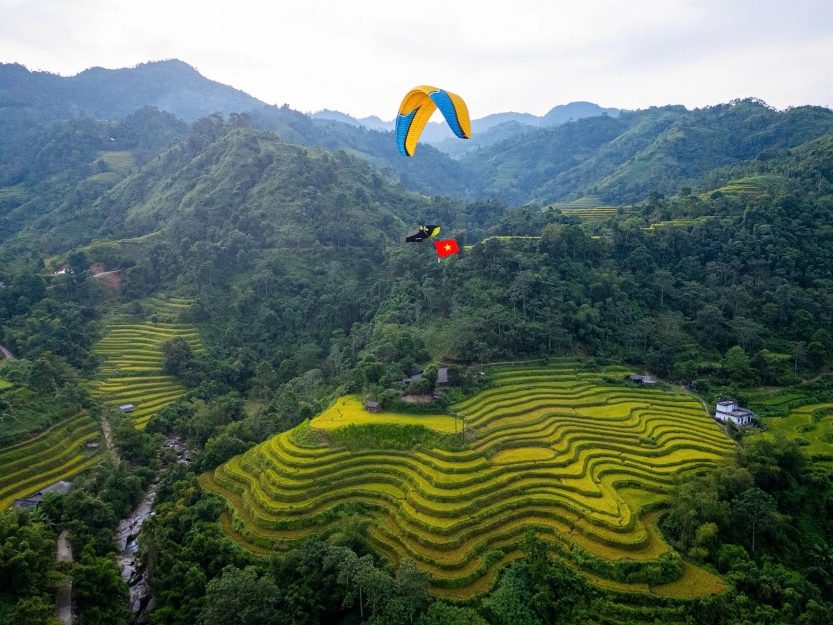 Bay dù lượn ngắm ruộng bậc thang mùa lúa chín tại Thông Nguyên, Tuyên Quang