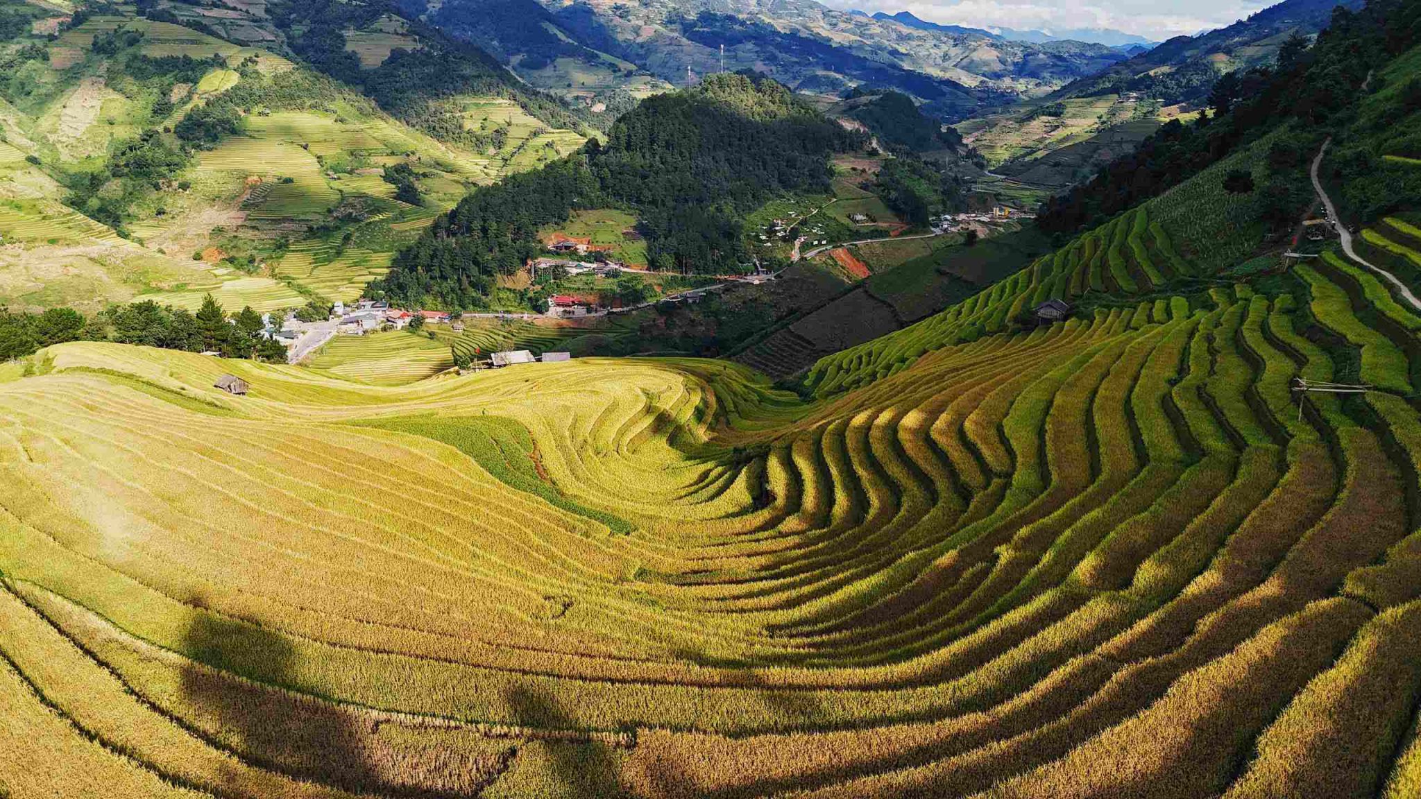 Thăm Háng Đăng Dê mùa lúa chín