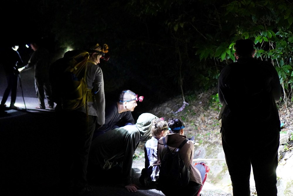 Khám phá động vật hoang dã về đêm: trải nghiệm độc đáo tại Phong Nha - Kẻ Bàng