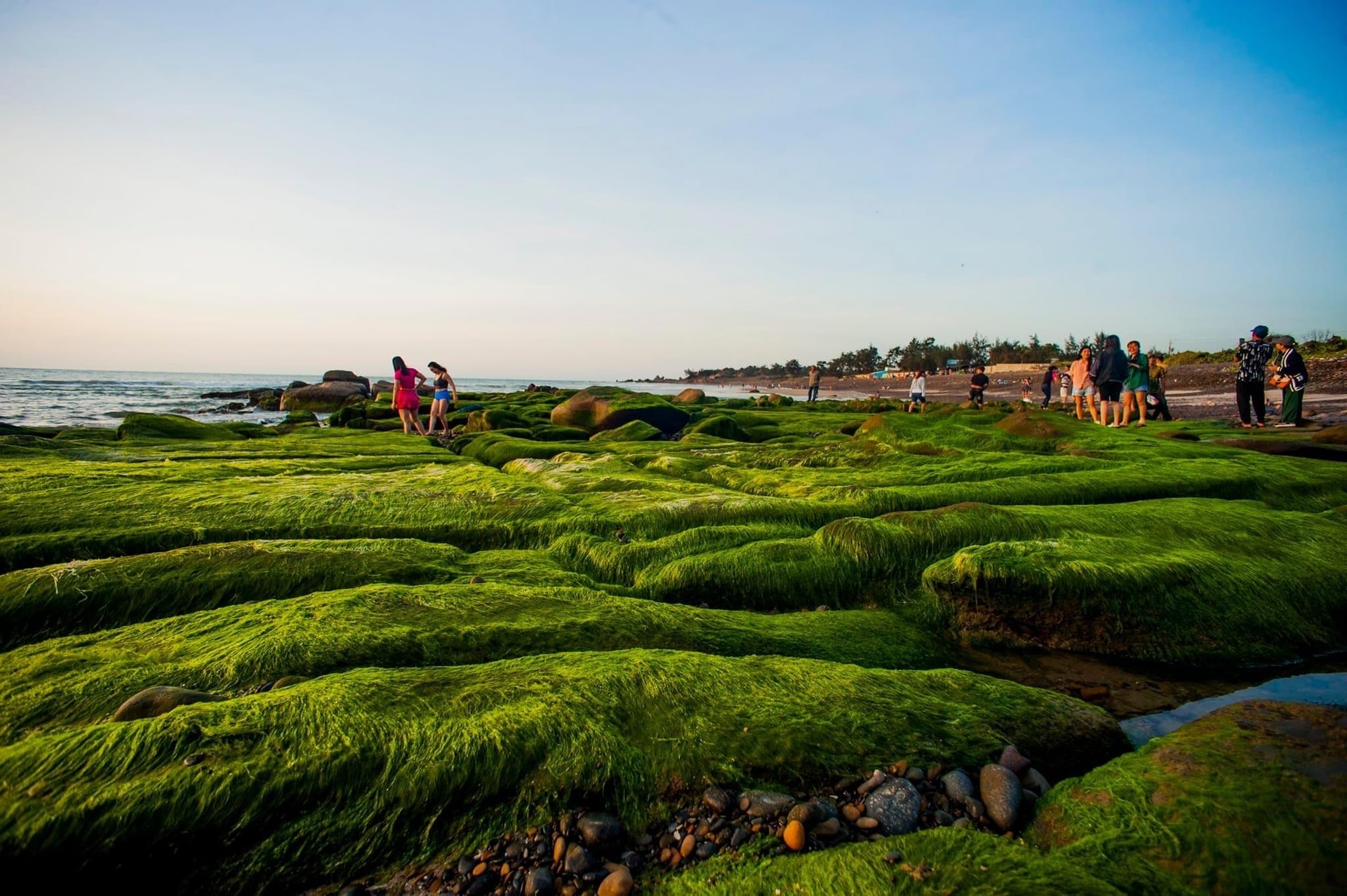 Đến Lâm Đồng du lịch chậm để kết nối sâu hơn