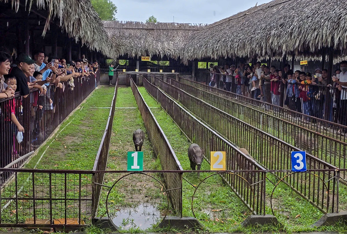 Quy định đặc điểm kinh tế - kỹ thuật đối với dịch vụ tham quan tại khu du lịch trên địa bàn TP Cần Thơ