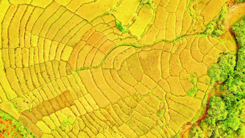 Đánh thức tiềm năng du lịch miền núi Quảng Ngãi