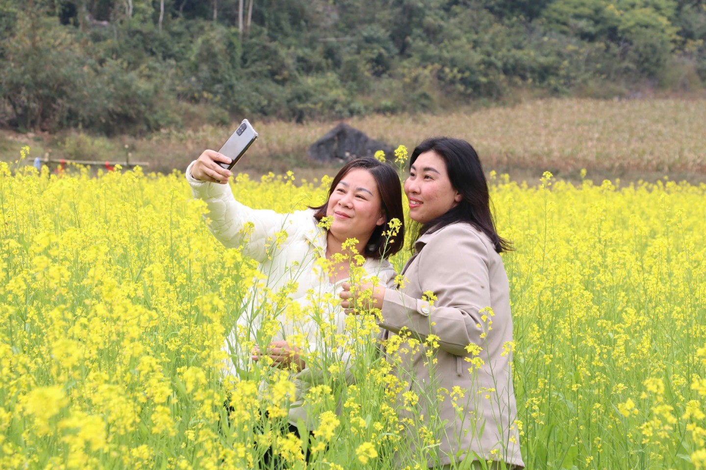 Mùa hoa cải hút khách ở Lạng Sơn