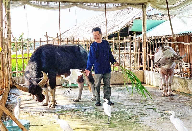 Cần Thơ: Thu hút du khách quốc tế bằng bản sắc văn hóa