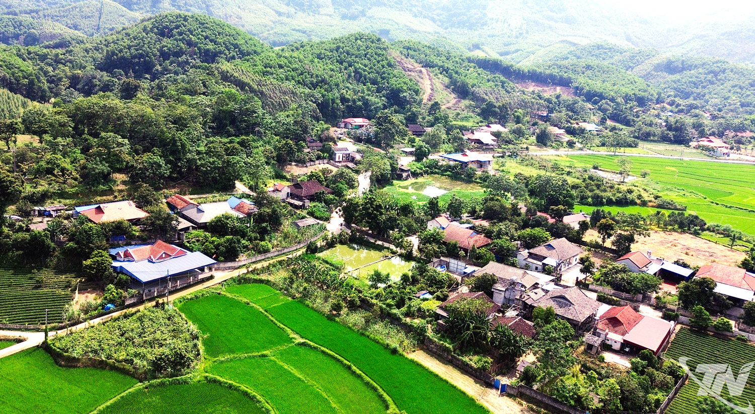 Người ''thổi hồn'' cho gỗ