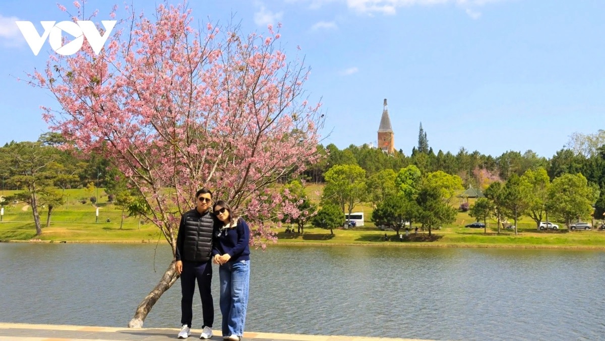 Du lịch Tết Bính Ngọ 2026: Sức hút mạnh mẽ từ các điểm đến trong nước