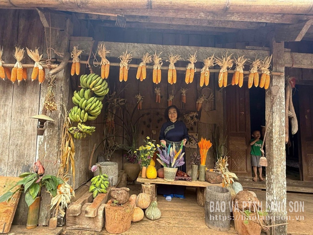 Lớp học xanh “0 đồng” ở Lạng Sơn