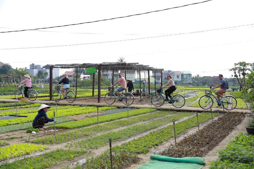 Đà Nẵng tái định vị du lịch: “Chạm về nguyên bản” để phát triển bền vững