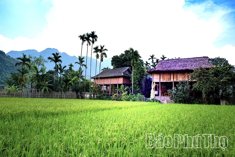 Hấp dẫn du lịch cộng đồng bản Thái Mai Châu - Phú Thọ