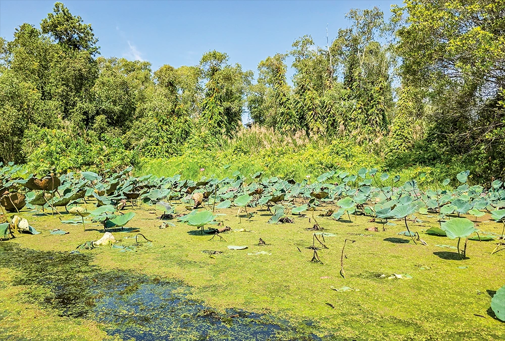 Bảo vệ đa dạng sinh học tại Khu bảo tồn thiên nhiên Lung Ngọc Hoàng