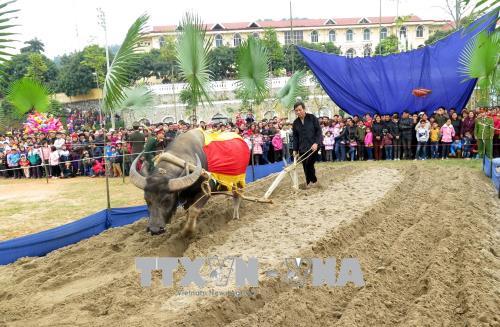 Nô nức Ngày hội xuống đồng ở Chiêm Hóa (Tuyên Quang)