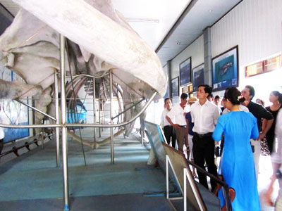 Khánh Hòa mở cửa miễn phí cho khách tham quan khu triển lãm Festival Biển 