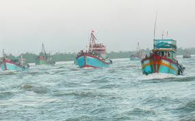 Bến tàu không số (Bến Tre) thành điểm hút du khách