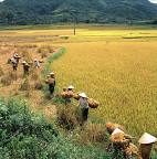 Việt Nam - điểm du lịch an toàn nhất thế giới