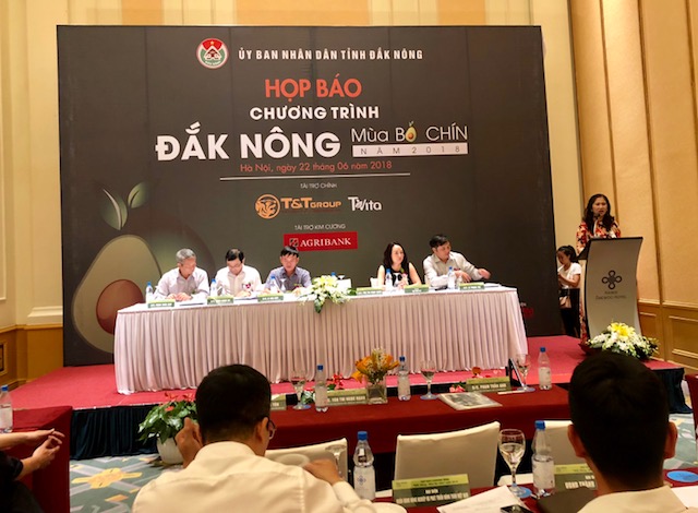 Hấp dẫn lễ hội “Đắk Nông - Mùa bơ chín”