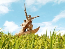 Khai mạc Festival lúa gạo sẽ mang đậm hình ảnh Việt Nam 