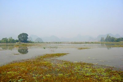 Vùng đầm lầy hồ Tam Chúc 
