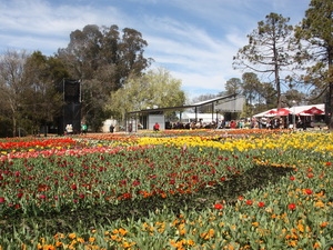 Chào đón mùa Xuân ở Australia bằng lễ hội hoa Floriade