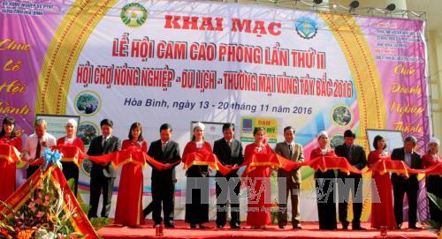 Hòa Bình: Khai mạc lễ hội cam Cao Phong lần thứ 2 