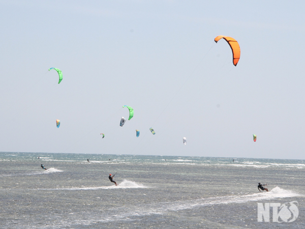 Lướt ván diều ở Ninh Thuận thu hút nhiều khách du lịch