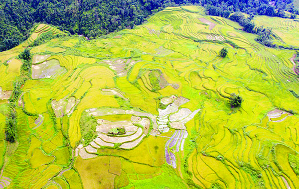 Quyến rũ ruộng bậc thang Sa Pa