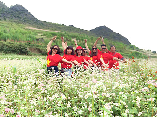 Hà Giang: chuẩn bị khai mạc Lễ hội hoa tam giác mạch 2017