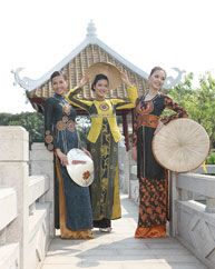 Thái Tuấn với Tuần lễ Văn hóa Việt Nam 2008 tại Nhật Bản