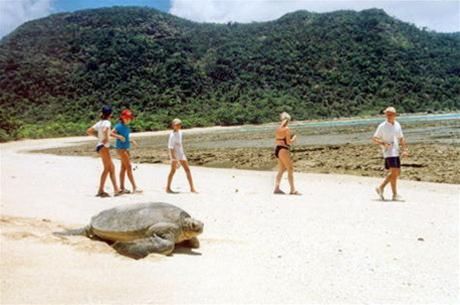Tour Côn Đảo tham quan di tích lịch sử và xem rùa đẻ trứng