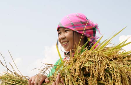 Văn hóa ẩm thực của người Pú Nả ở Lai Châu