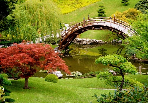 Trải nghiệm vẻ đẹp những khu vườn cổ tích ở Nhật Bản