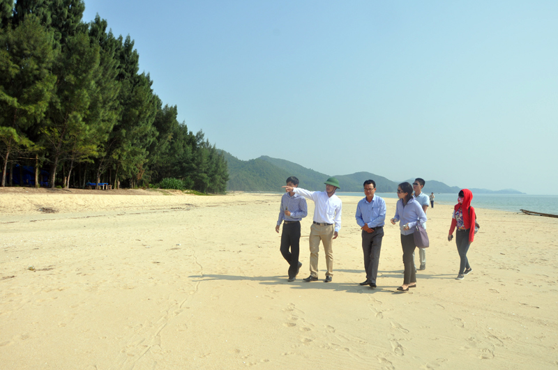 Quảng Ninh: Khảo sát tài nguyên du lịch tại các huyện Hải Hà, Tiên Yên và Đầm Hà