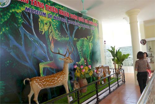 Bảo tàng thiên nhiên Vườn Quốc gia Xuân Sơn (Phú Thọ) - Điểm đến thú vị