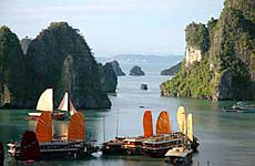 6 tháng đầu năm 2008, khách quốc tế đến Việt Nam hơn 2,3 triệu lượt.