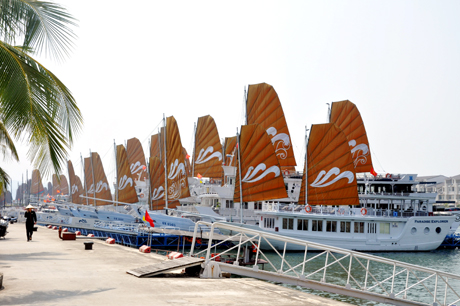 Đột phá mới cho dịch vụ tham quan trên cảng Tuần Châu (Vịnh Hạ Long)