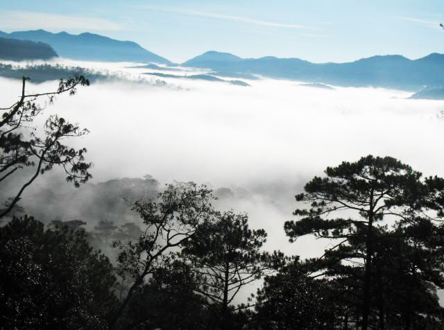 Khám phá rừng Bidoup - Núi Bà (Lâm Đồng)
