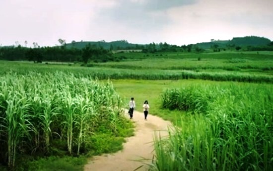 Bình Định - Phú Yên lên chương trình liên kết du lịch: Vẻ đẹp bất tận
