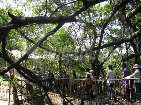 Đắk Lắk thu hút du khách trong những ngày đầu năm