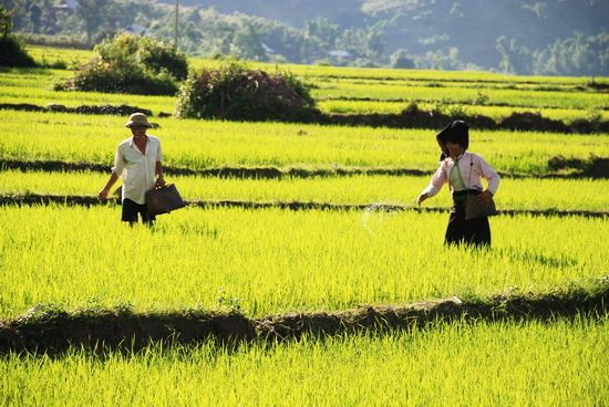 Điện Biên – Điểm đến thú vị