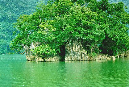 Lập hồ sơ Vườn quốc gia Cát Tiên gửi lên UNESCO